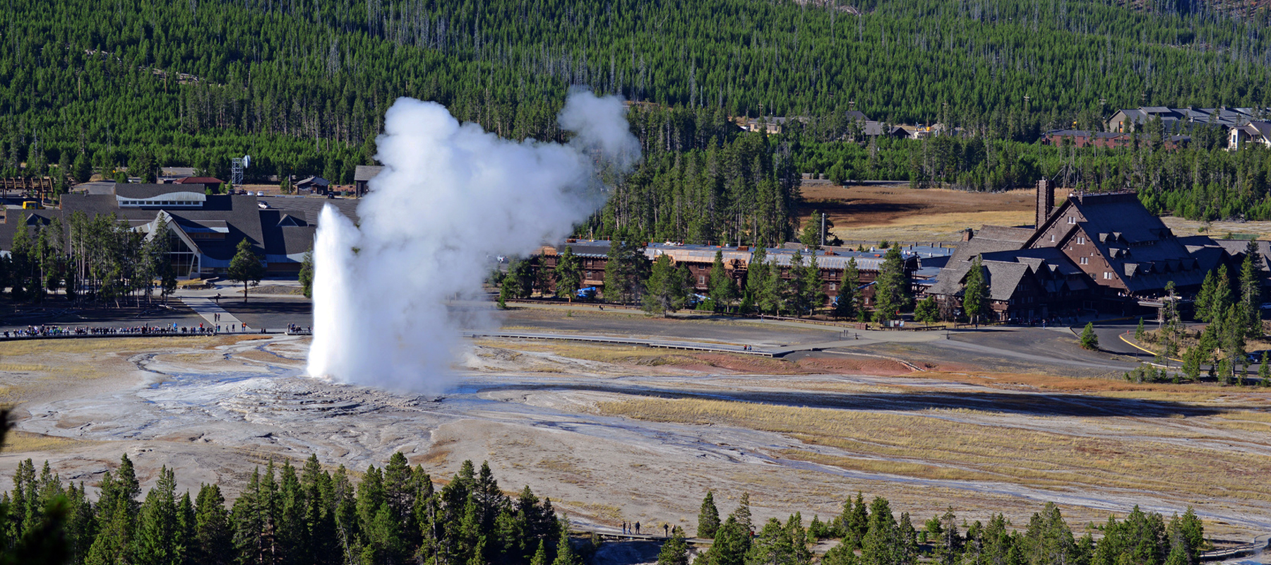 Yellowstone national park