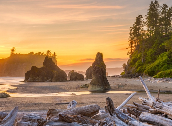 Olympic National Park