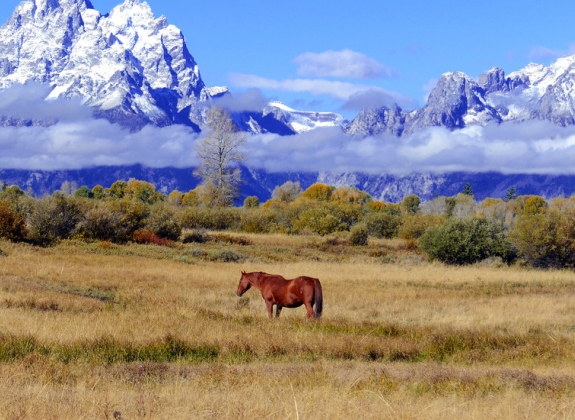 Grand-Teton-National-Park_1280x550