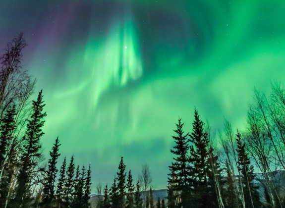 Northern-Lights-in-Fairbanks-AK