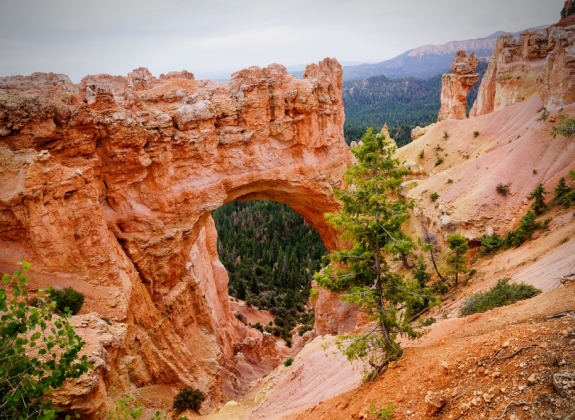 Bryce Canyon National Park (UT)