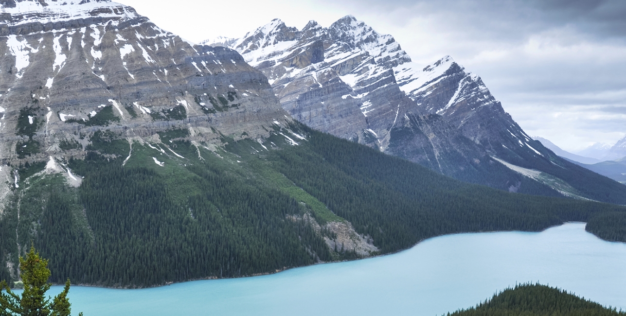 classic-canada-and-rockies-eastbound-icefield-park classic-canada-and-rockies-eastbound-icefield-park