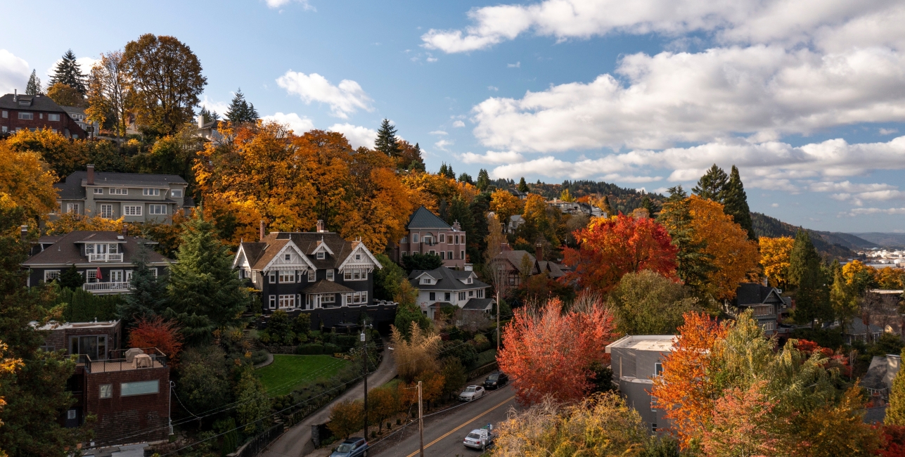 Fall Foliage 2024 Pacific Northwest Alla Lucita