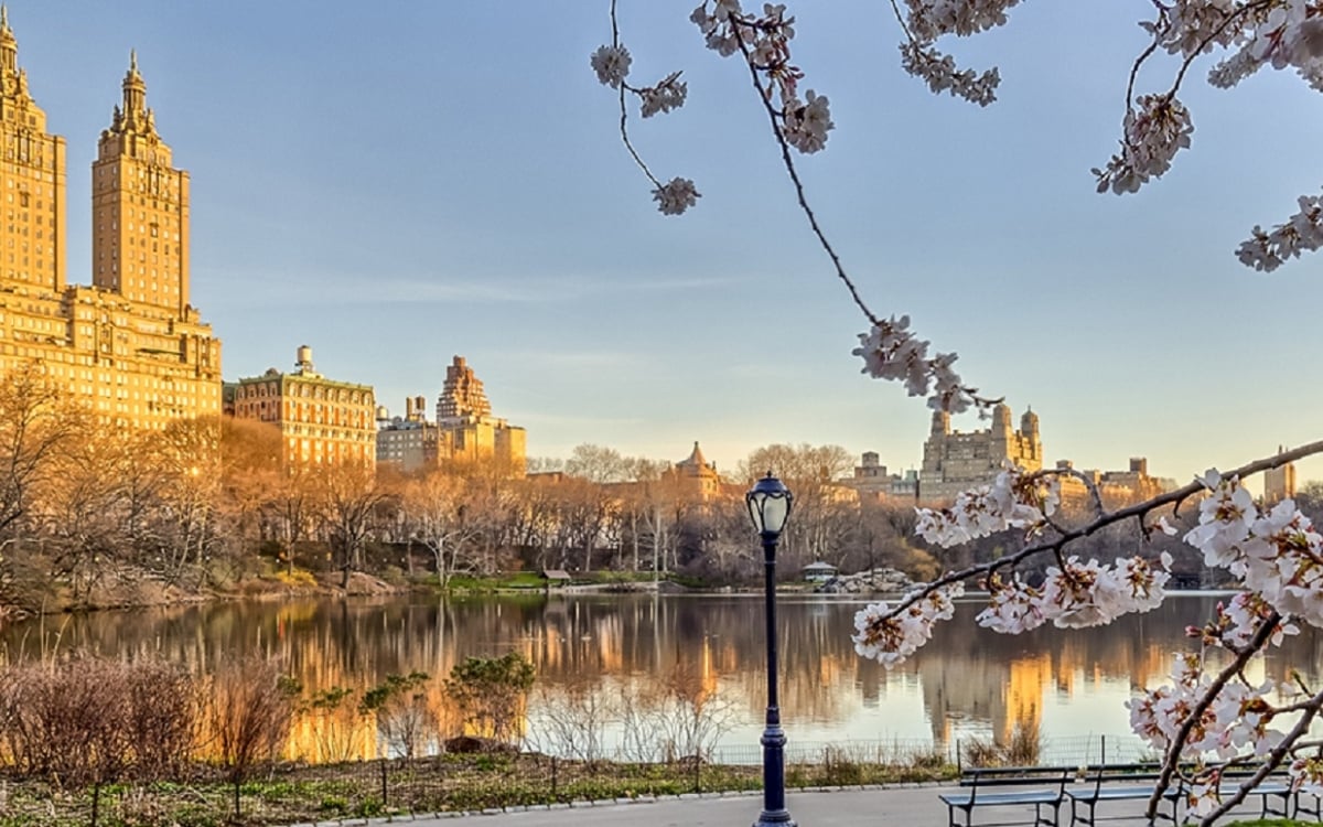 New-York-City-Central-Park-in-Spring