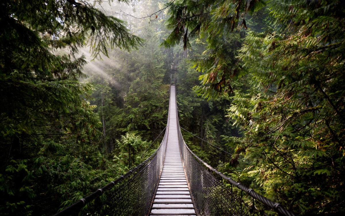 Vancouver-Capilano-Suspension-Bridge