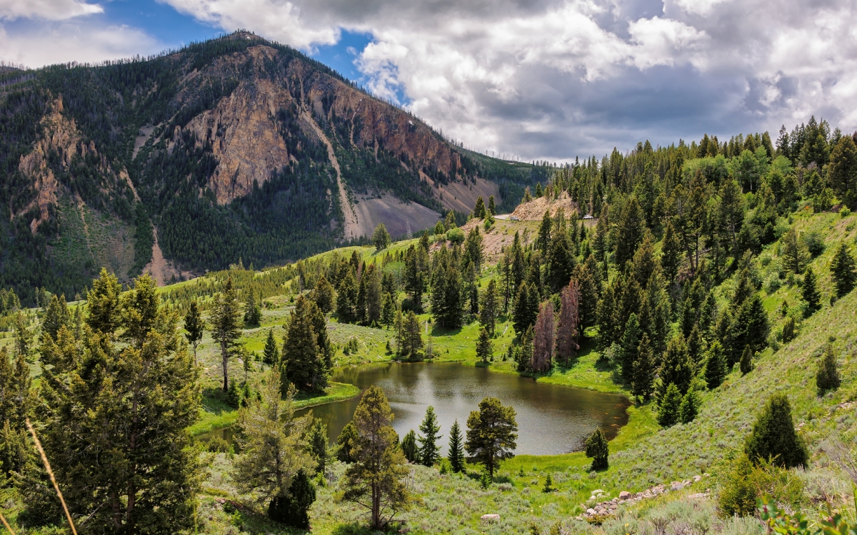 Yellowstone Mountains & Green Hills