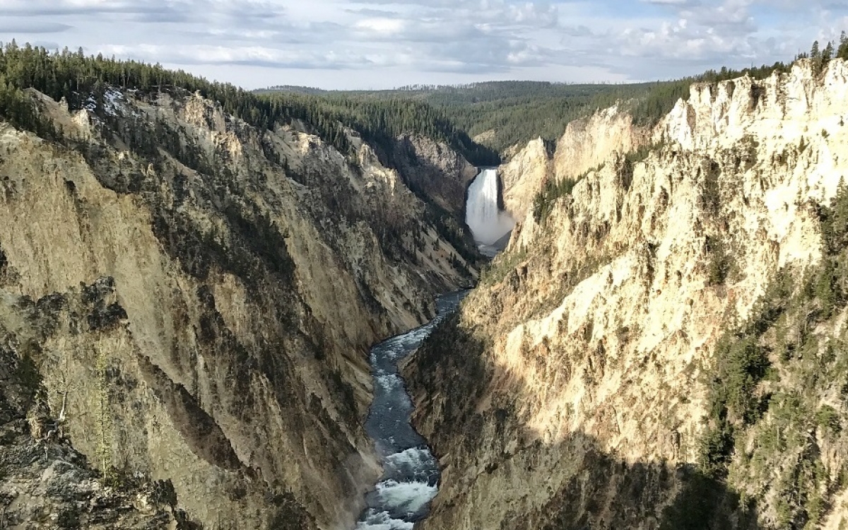 A canyon in Yellowstone National Park