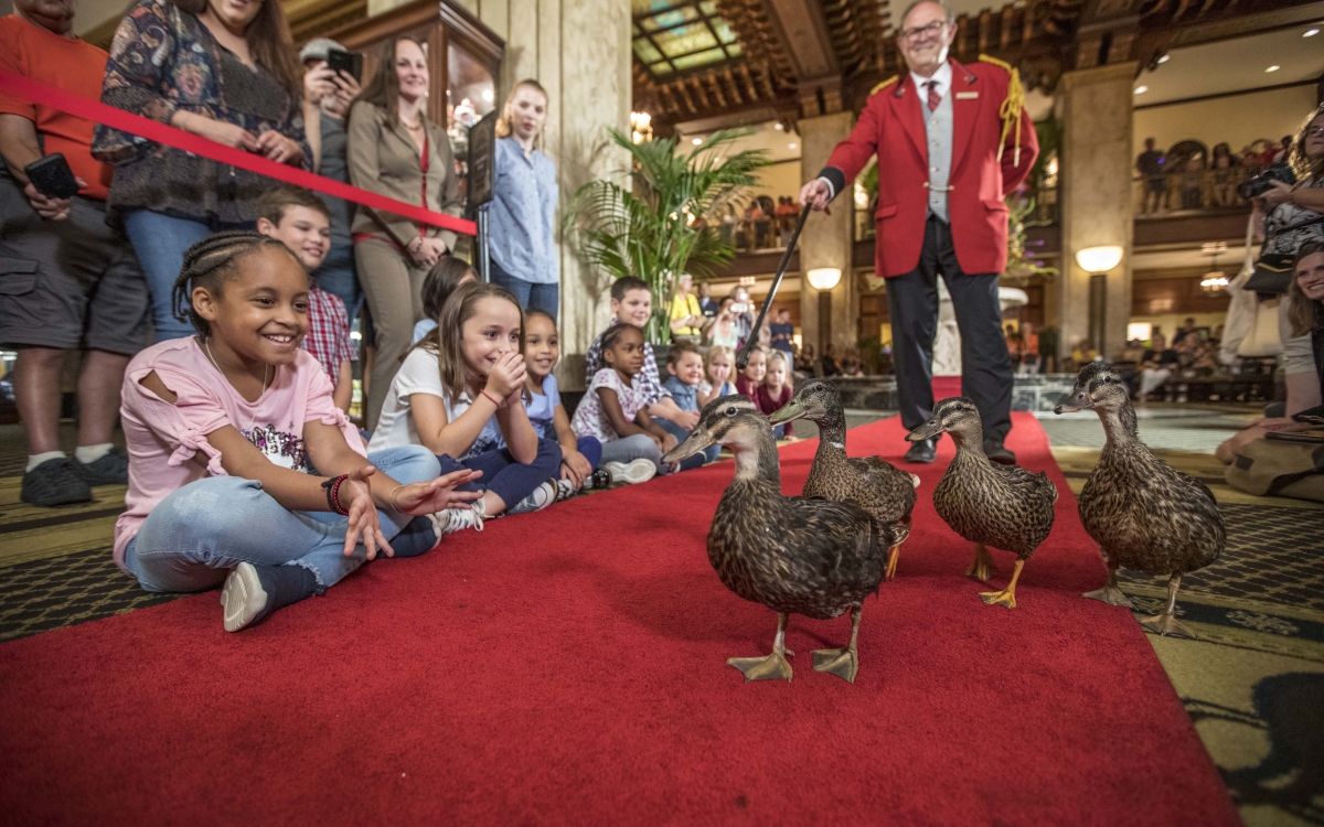 Peabody_ducks-lobby