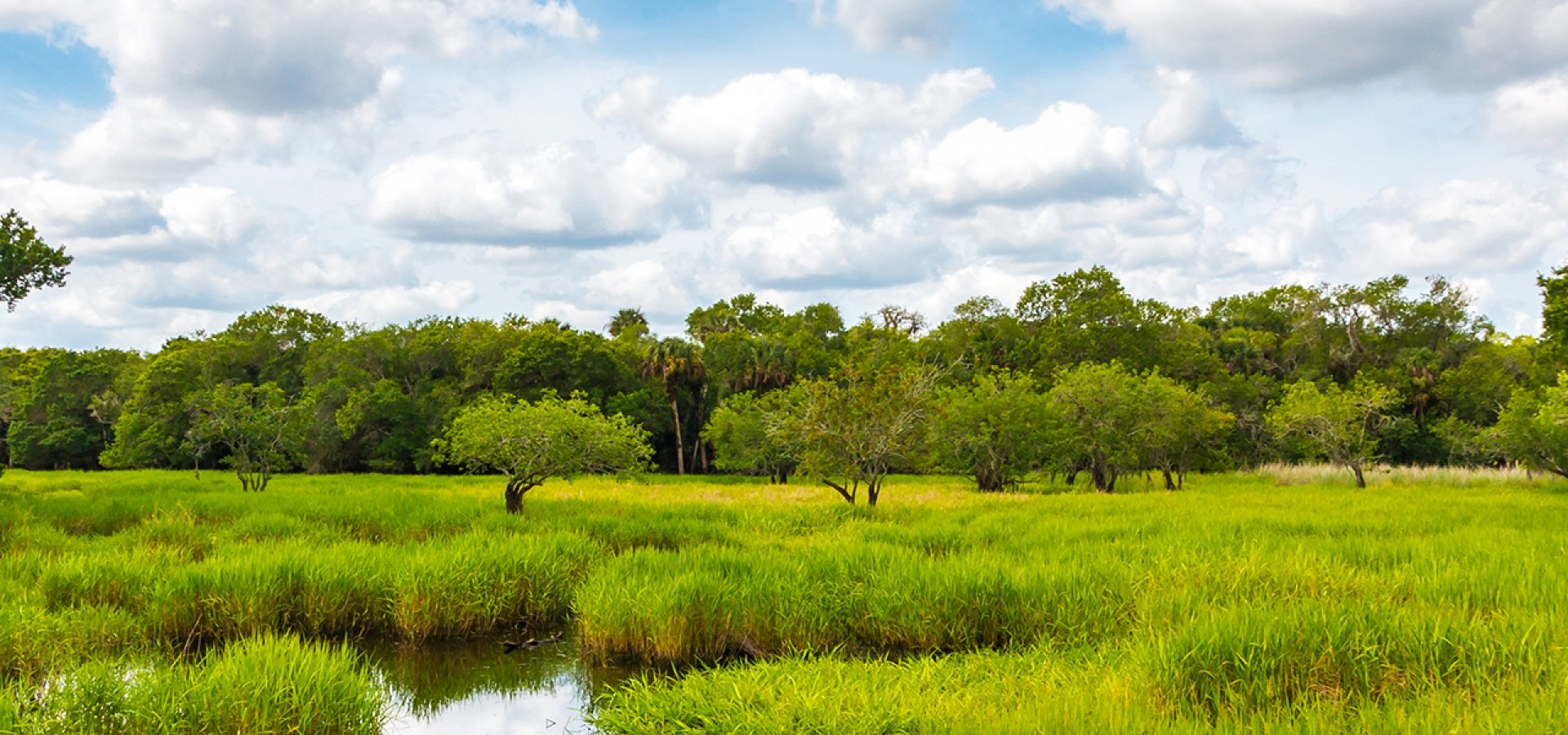 Florida Everglades National Park Hero 1