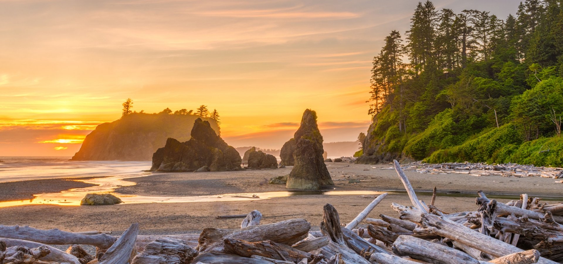 Olympic-National-Park Olympic National Park beach view at sunset