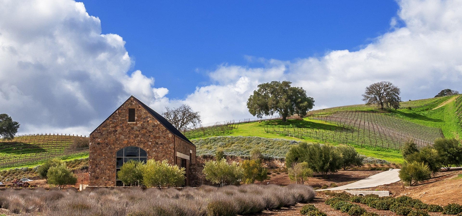 Paso-Robles Paso Robles