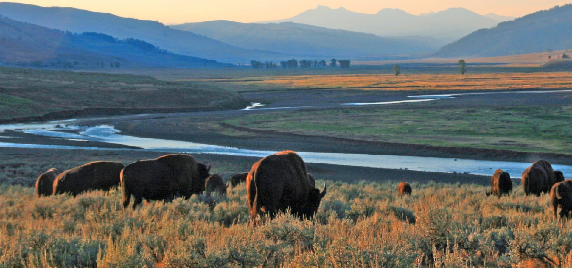 Yellowstone National Park by Rail Amtrak Vacations®