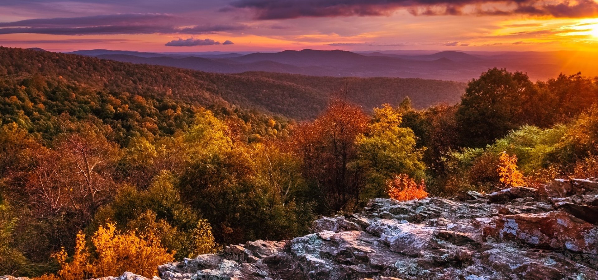 Are Dogs Allowed In Shenandoah National Park