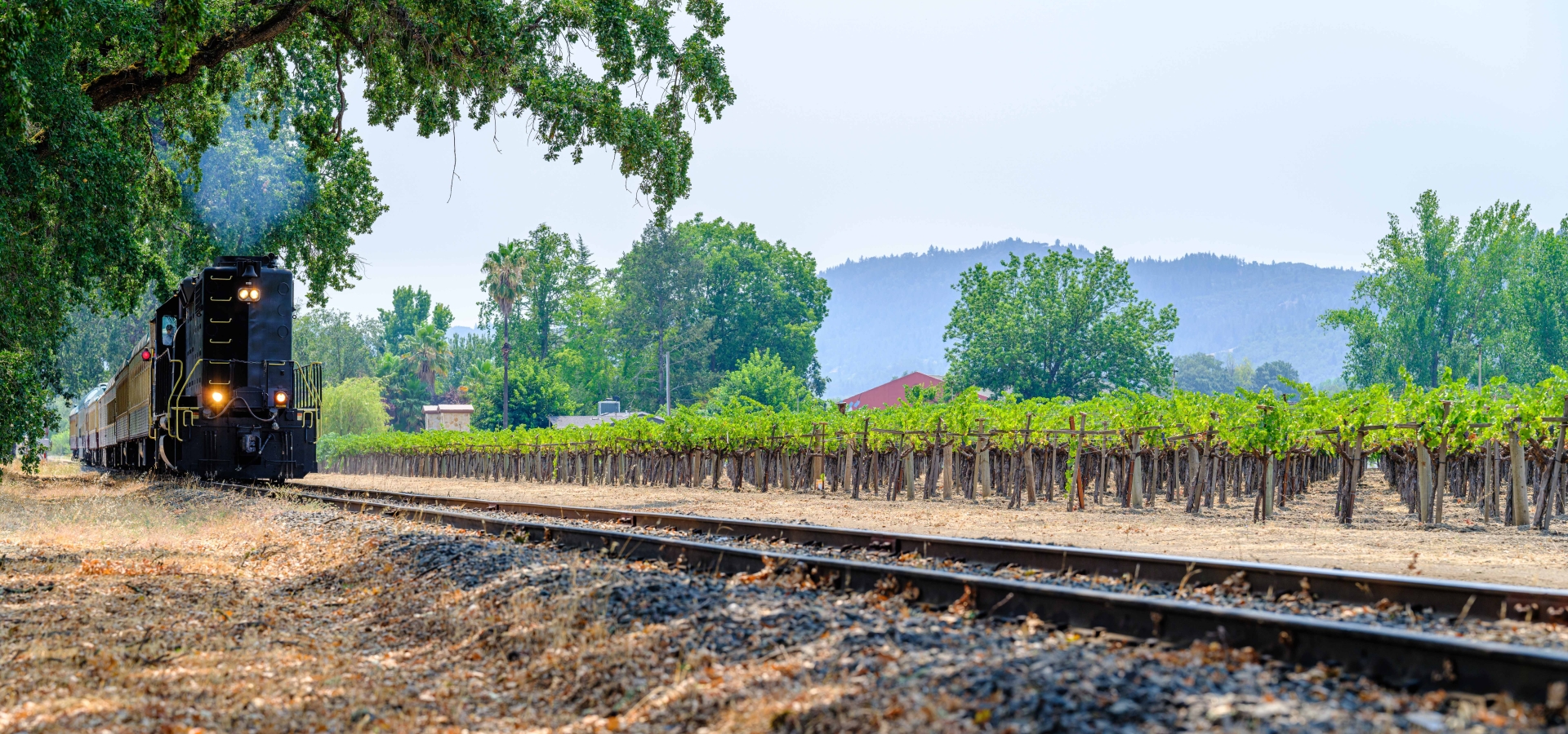 Excursions Tours through the vineyards of Napa Valley