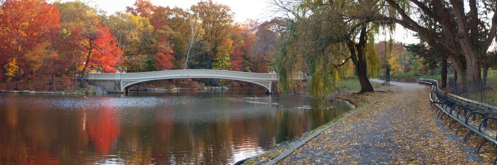 2-Central-Park-New-York-City-Fall-Foliage 2-Central-Park-New-York-City-Fall-Foliage