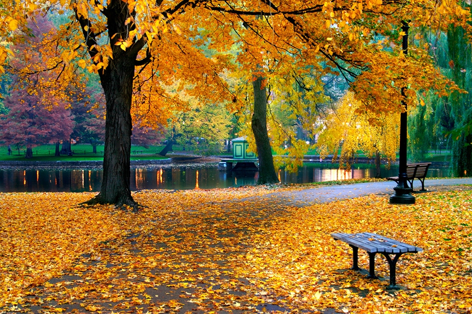 Boston in Autumn 