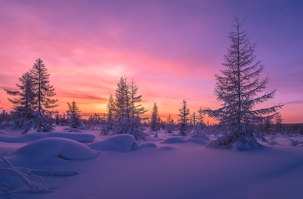 Winter landscape with forest, clouds and sun