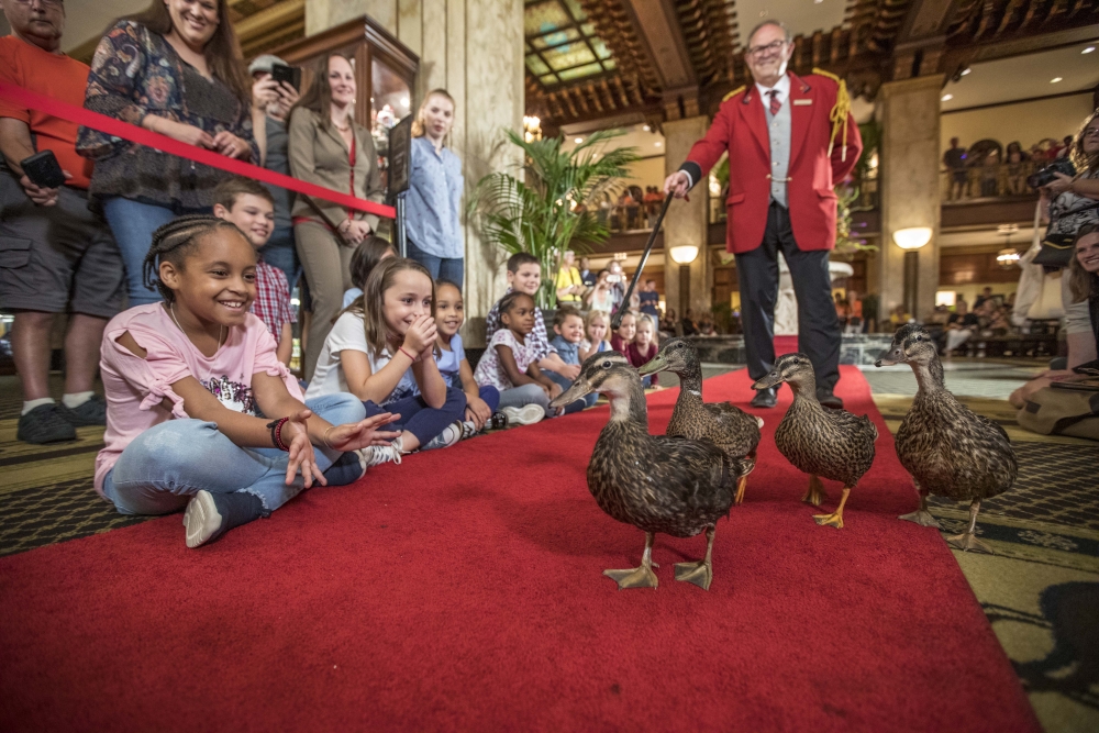 Peabody_ducks-lobby
