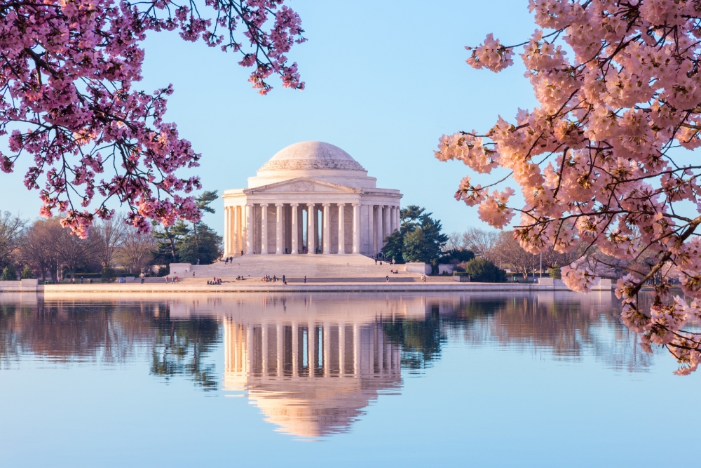 Jefferson Memorial Cherry Blossoms