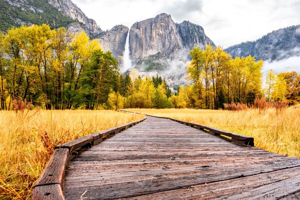 Yosemite Meadows in Fall