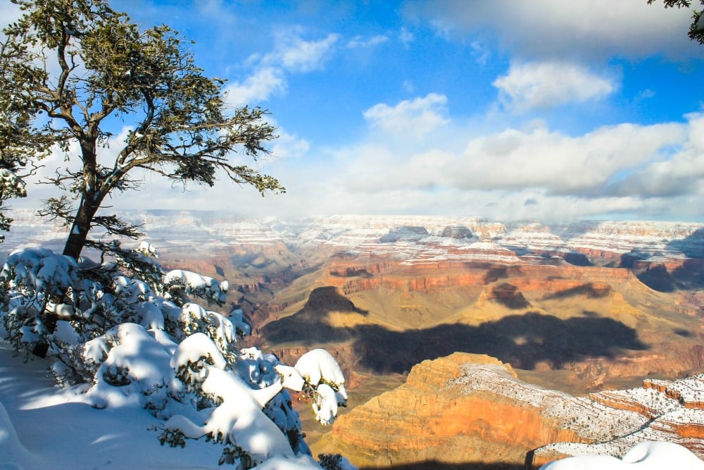 grand-canyon-winter