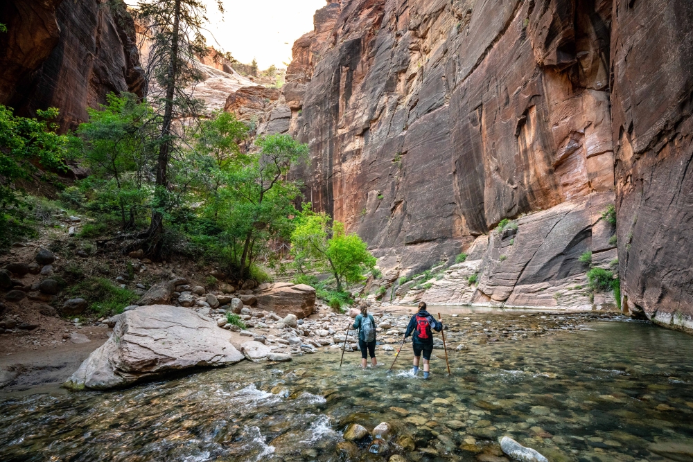 Backpacking women with hiking sticks wading through the Narrows of Zion National Park.